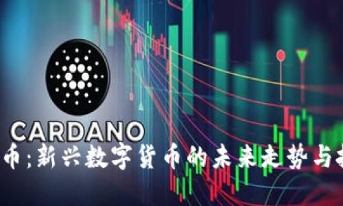 小A虚拟币:新兴数字货币的未来走势与投资机会