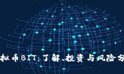 虚拟币BIT:了解、投资与风险分析