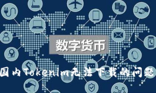 如何解决国内Tokenim无法下载的问题：完整指南
