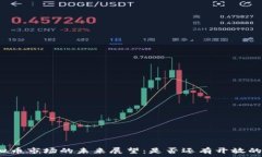  中国虚拟币市场的未来展望：是否还有开放的可