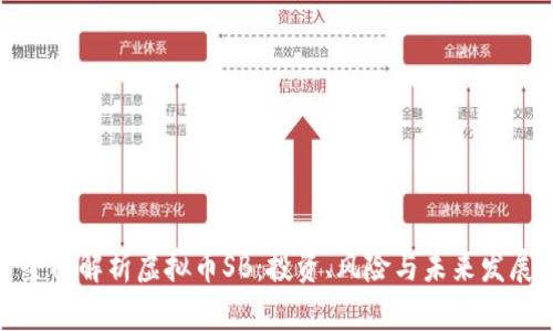全面解析虚拟币SB:投资、风险与未来发展