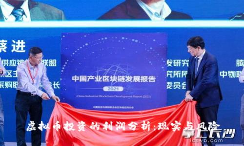 虚拟币投资的利润分析:现实与风险