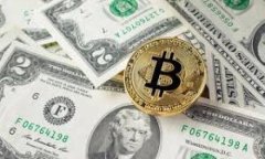 炒虚拟币被骗8万的教训：如何避免陷