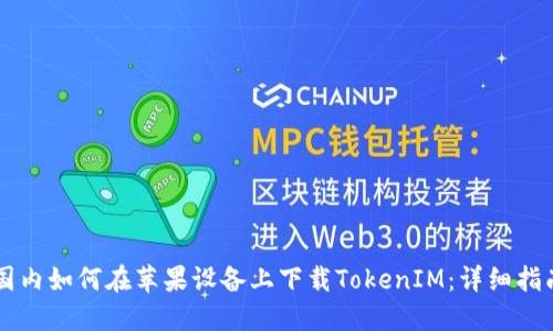 国内如何在苹果设备上下载TokenIM：详细指南