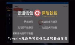 Tokenim跑路的可能性及应对措施分析