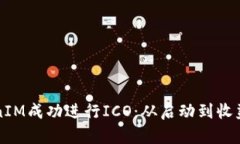 如何通过TokenIM成功进行ICO：从启动到