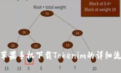 : 苹果手机下载Tokenim的详细流程