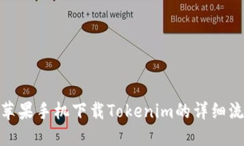 : 苹果手机下载Tokenim的详细流程