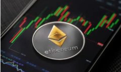TokenIM：投资者的安全选择还是风险之