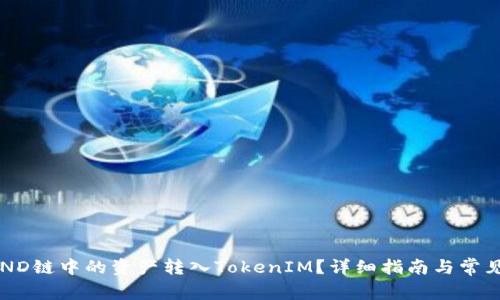 如何将SEND链中的资产转入TokenIM?详细指南与常见问题解答