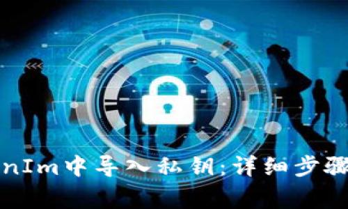 如何在TokenIm中导入私钥:详细步骤与注意事项