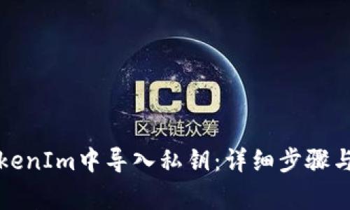 如何在TokenIm中导入私钥:详细步骤与注意事项