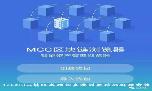 Tokenim转账成功但未收到款项的处理方法