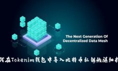 如何在Tokenim钱包中导入比特币私钥的
