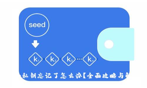 Tokenim私钥忘记了怎么办?全面攻略与解决方案