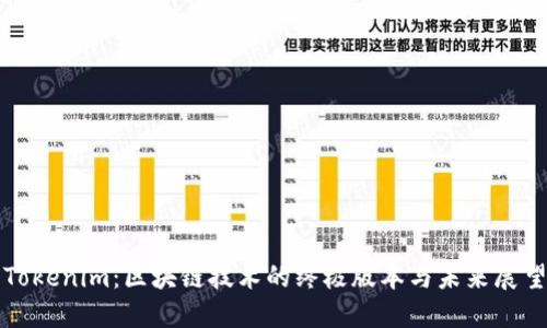 Tokenim:区块链技术的终极版本与未来展望