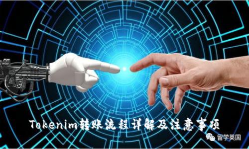 Tokenim转账流程详解及注意事项
