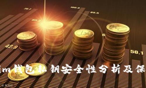 Tokenim钱包私钥安全性分析及保护方法