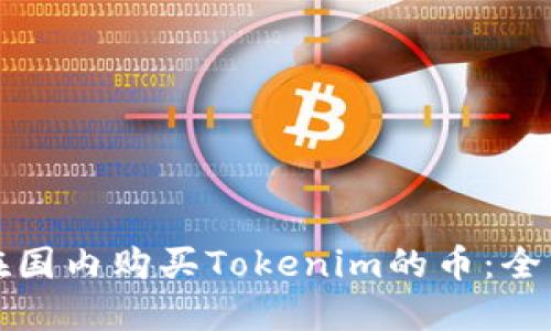 如何在国内购买Tokenim的币：全面指南