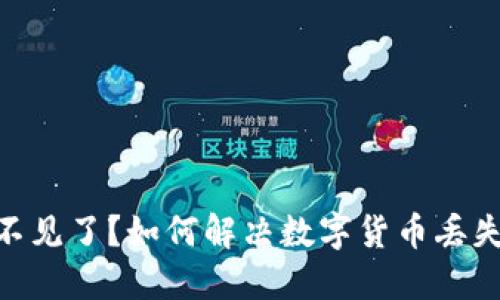 Tokenim里的币不见了？如何解决数字货币丢失问题的全面指南