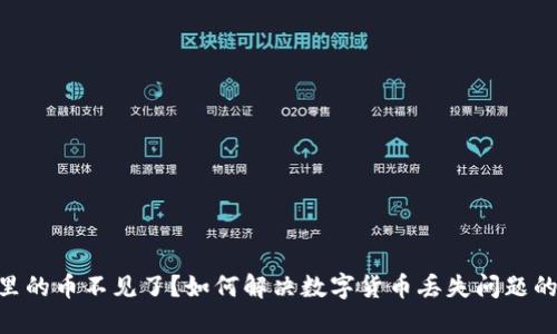 Tokenim里的币不见了？如何解决数字货币丢失问题的全面指南