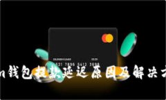 Tokenim钱包提款延迟原因及解决方案解