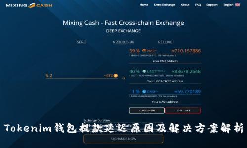 Tokenim钱包提款延迟原因及解决方案解析