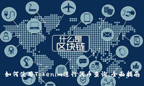 如何使用Tokenim进行代币查询:全面指南