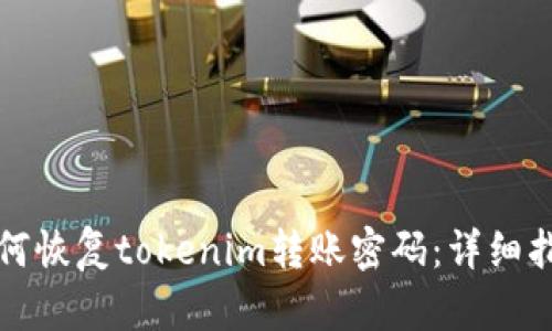 如何恢复tokenim转账密码:详细指南
