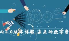 TokenIM国内2.0版本详解：未来的数字资