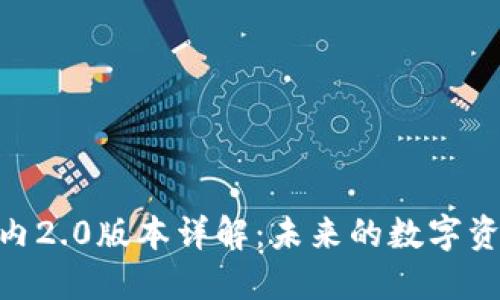 TokenIM国内2.0版本详解:未来的数字资产管理工具