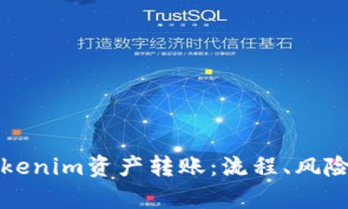 全面解析Tokenim资产转账：流程、风险与最佳实践