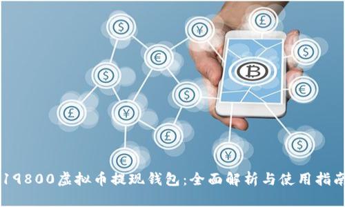 19800虚拟币提现钱包:全面解析与使用指南