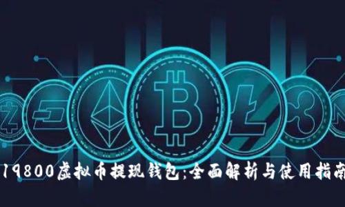 19800虚拟币提现钱包:全面解析与使用指南