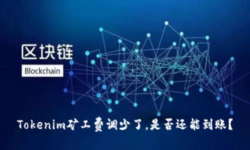 Tokenim矿工费调少了，是否还能到账？