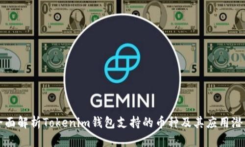 全面解析Tokenim钱包支持的币种及其应用潜力