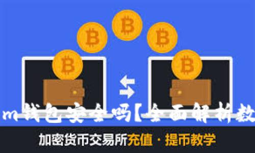 资产放Tokenim钱包安全吗?全面解析数字钱包安全性