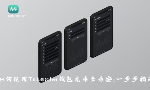 如何使用Tokenim钱包充币至币安:一步步指南