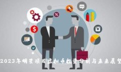 2023年明星项目虚拟币投资分析与未来