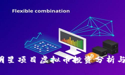 2023年明星项目虚拟币投资分析与未来展望
