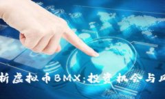 深入解析虚拟币BMX：投资机会与风险分