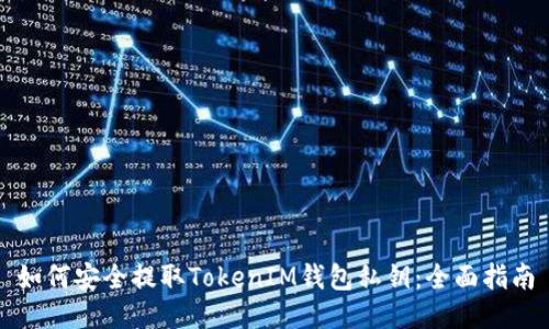 如何安全提取TokenIM钱包私钥:全面指南