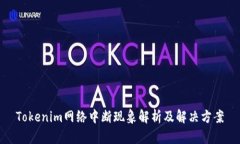 Tokenim网络中断现象解析及解决方案
