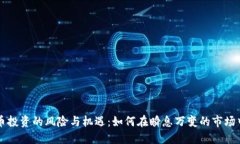 虚拟币投资的风险与机遇：如何在瞬息