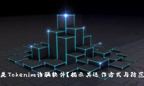 什么是Tokenim诈骗软件?揭示其运作方式与防范策略