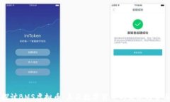 深入探讨BMS虚拟币：未来数字货币的发