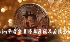 Tokenim平台交易停止原因及后续影响分