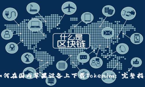 如何在国内苹果设备上下载Tokenim: 完整指南