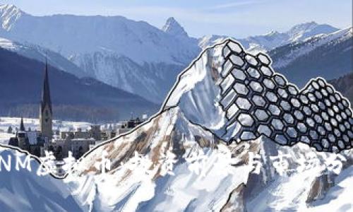 SNM虚拟币:投资前景与市场分析