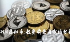 SNM虚拟币：投资前景与市场分析